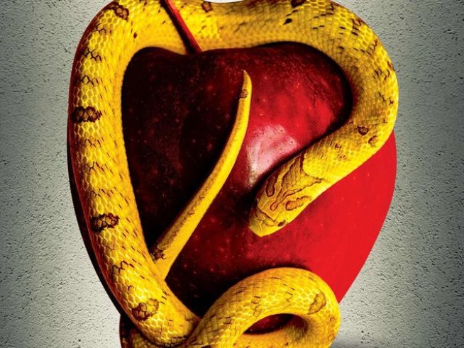 Корица: издателство "Ентусиаст"