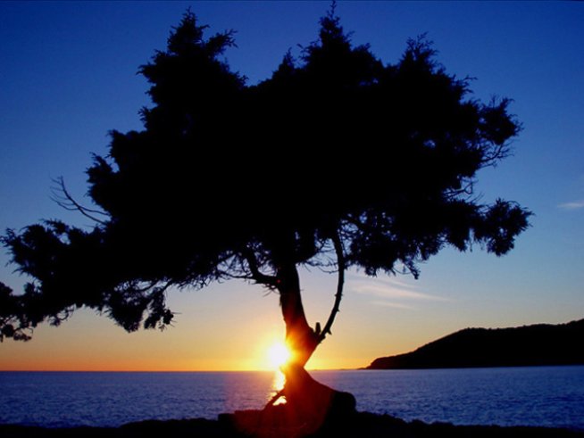 Снимка: Sxc.hu