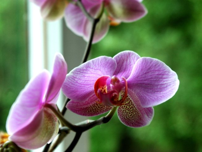 Снимка: Sxc.hu