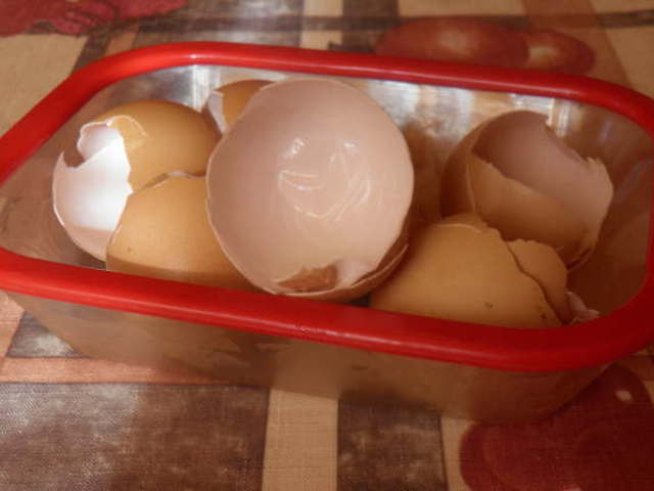 Какво да правим яйчените черупки?