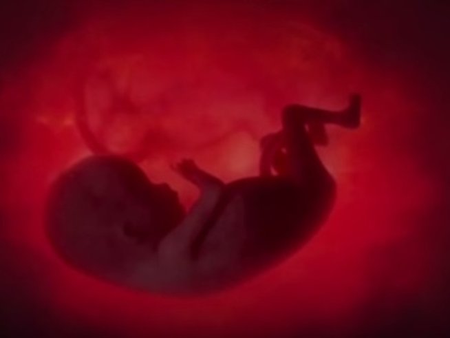 Снимка: youtube