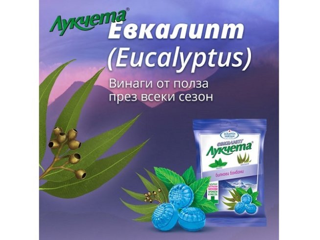 Как да съхраняваме билките в дома си