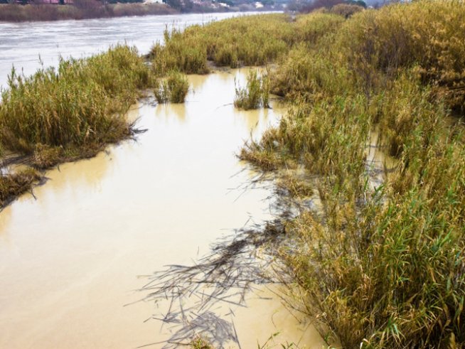 Снимка: thinkstock