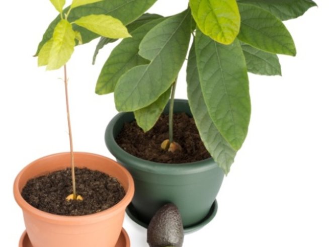 Снимка: thinkstock