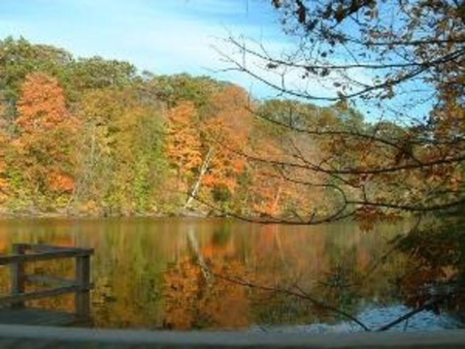 Красотата на листопада и красотата отвътре