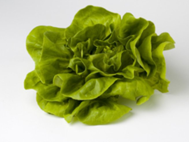 Най-опасните храни са марули, яйца и риба