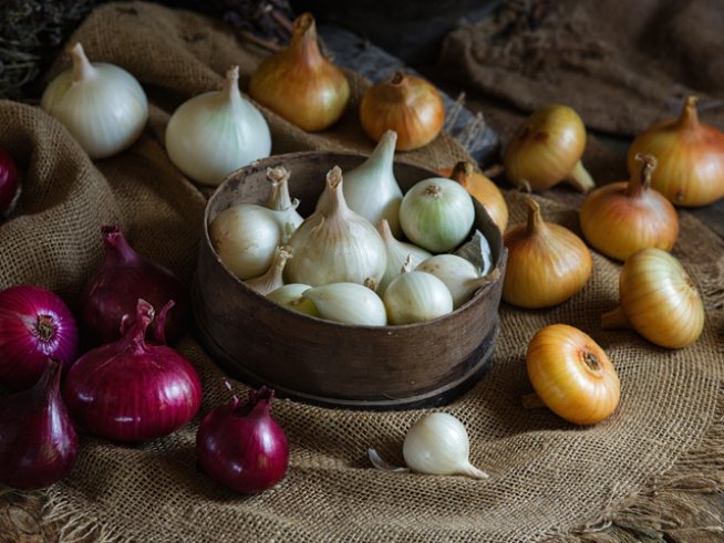 Снимка: istock