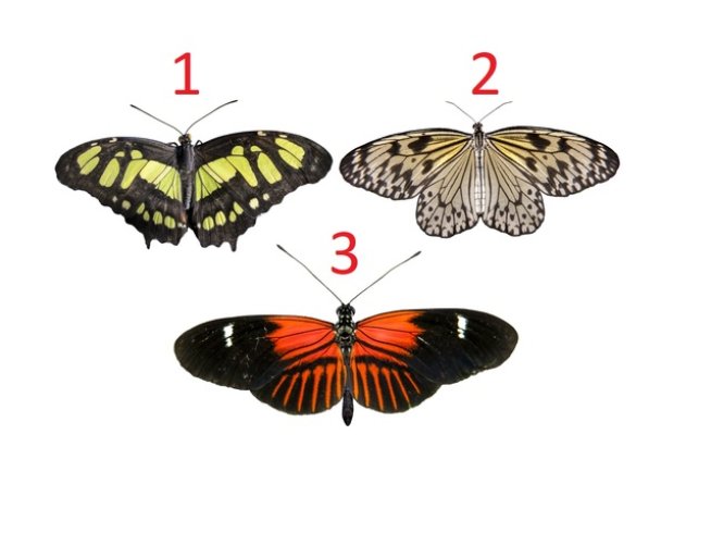 Снимка: istock