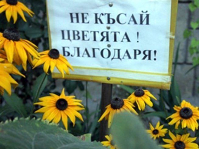 Спасете цветята в градските градини