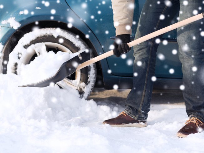 Снимка: iStock