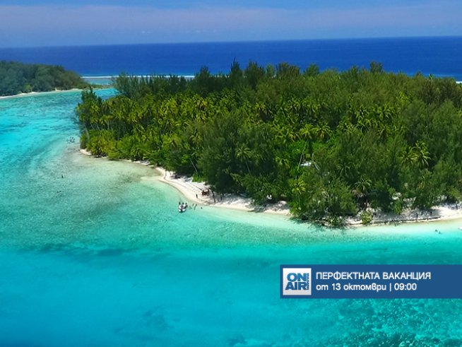 Снимка: Bulgaria ON AIR.