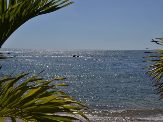 Снимка: freeimages.com