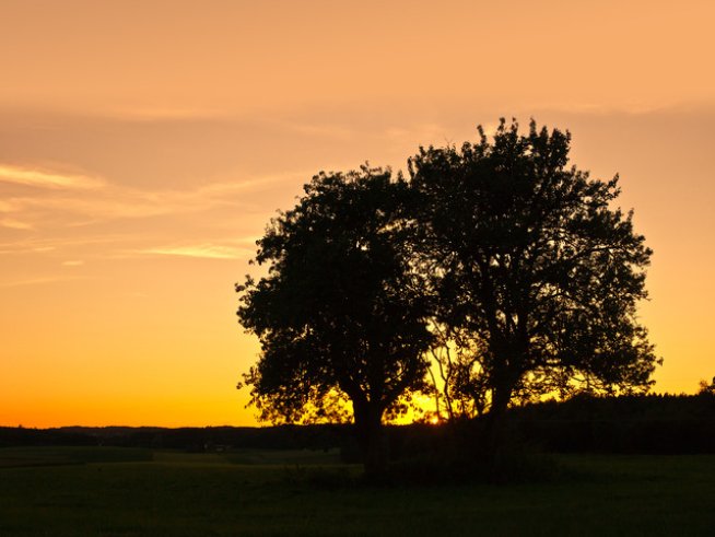 Снимка: freeimages.com