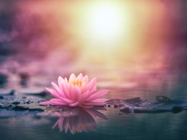 Мъдри мисли, с които да започнете деня си 