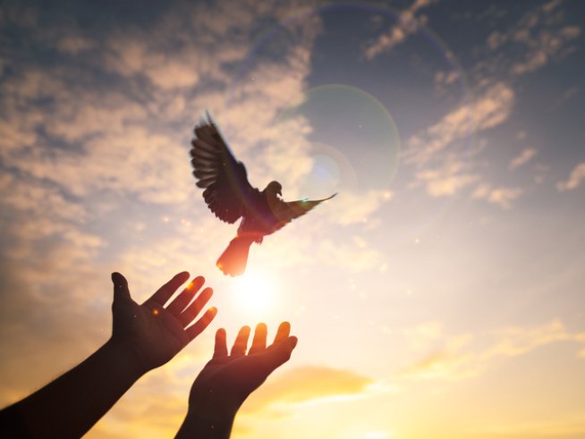 Снимка: istock