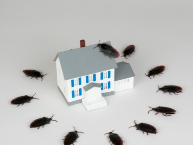 Снимка: Thinkstock