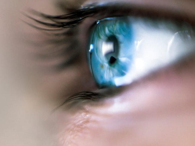 Снимка: istock