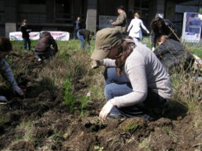 Засадихме заедно 300 цветя за 300 бебета повече!