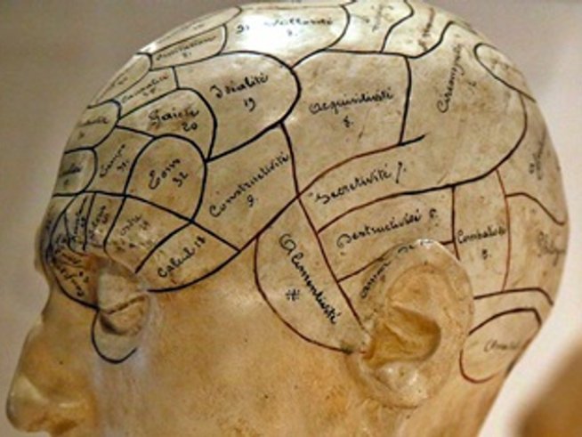 Лепенка на челото помага при епилепсия и депресия