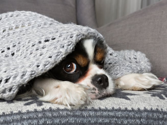 Снимка: istock