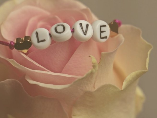 Снимка: pixabay