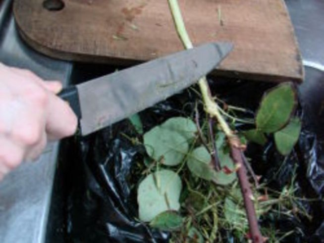 Хартия от рози представя България в 30 страни