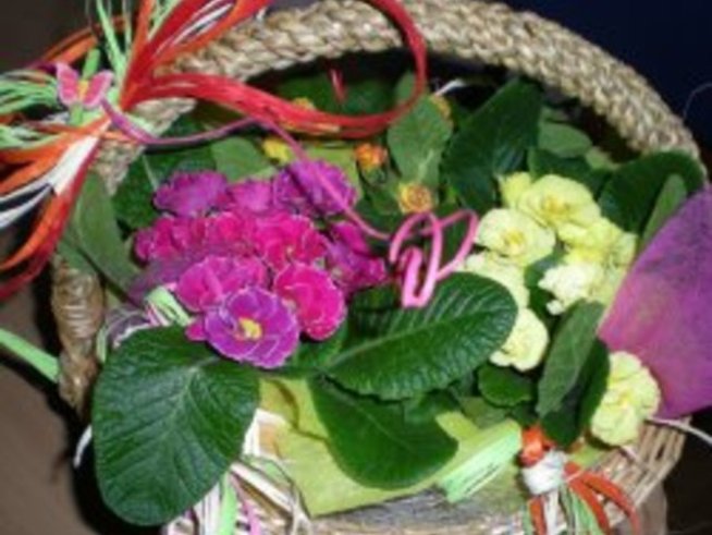 Да отглеждаме цветя през зимата