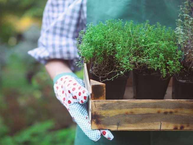 Снимка: istock