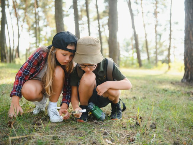 Снимка: istock