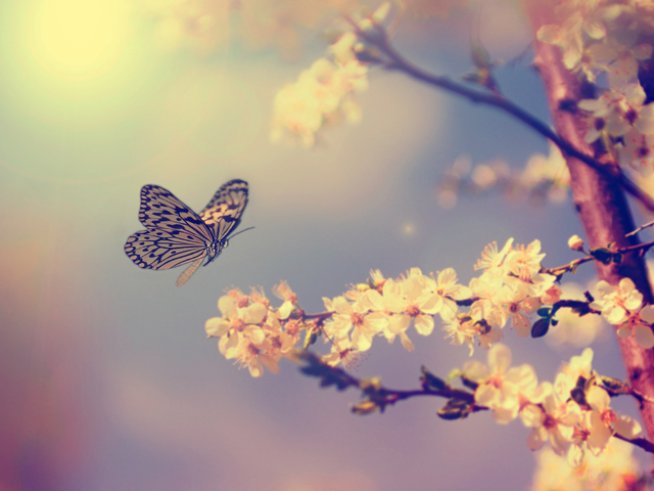 Снимка: thinkstock