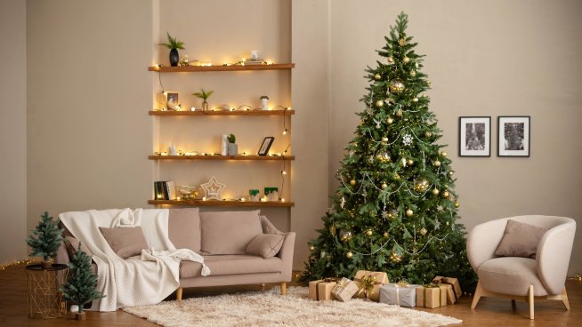 Снимка: istock