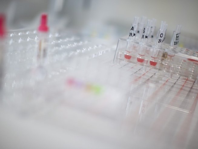 Снимка: Retuers