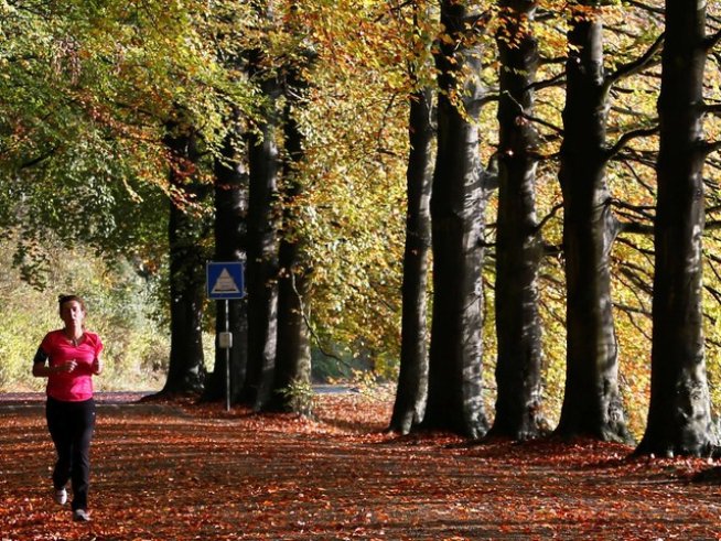 Снимка: Reuters