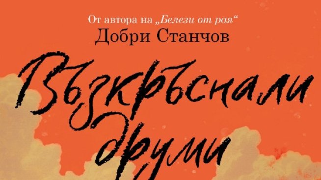 Корица: Лемур