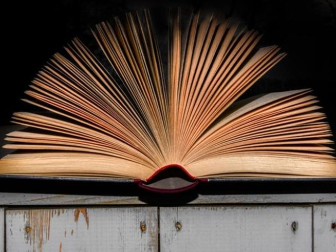 Снимка: pexels