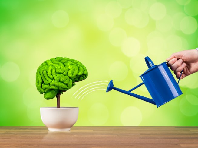 Снимка: istock