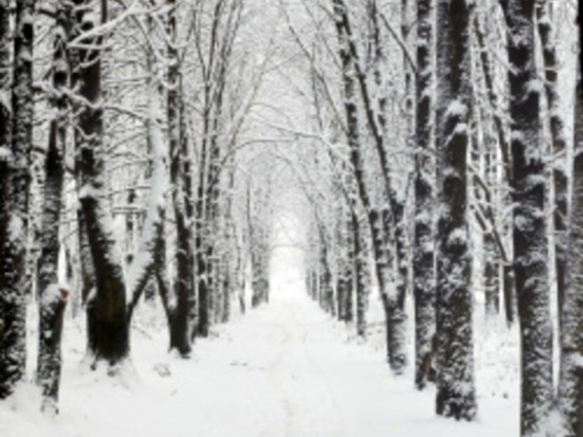 5 бързи начина за спасение от зимната депресия