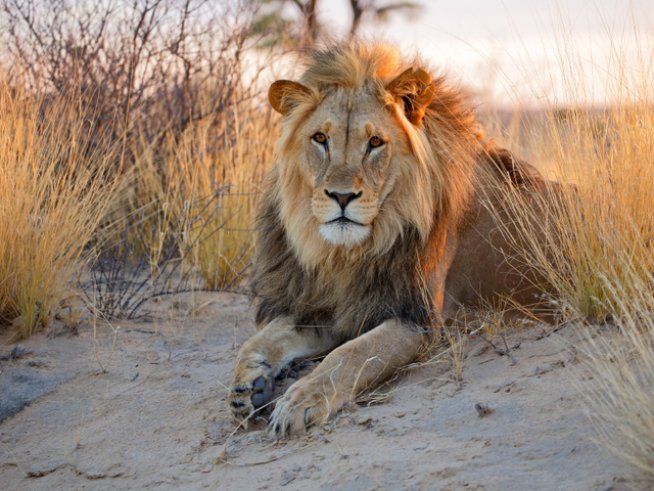 Снимка: istock