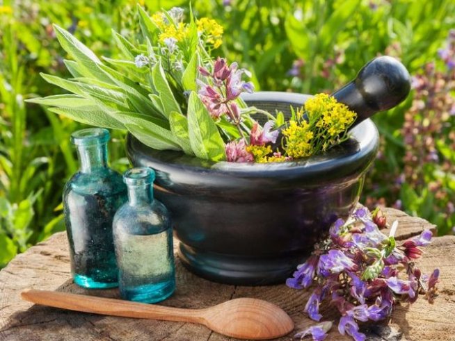 Снимка: iStock