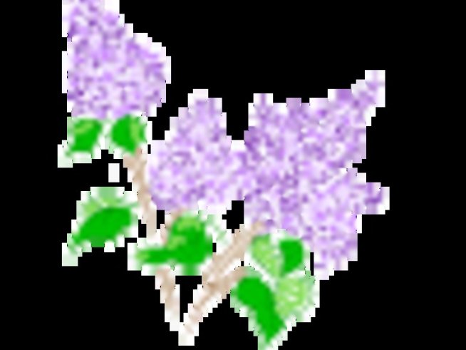 Весели празници – Лазаров ден и Цветница!