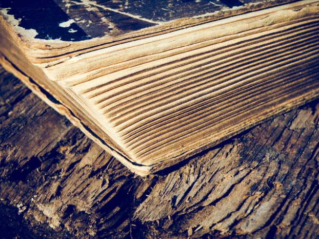 Снимка: istock