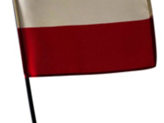 Да противопоставим на икономическата криза изкуството от Полша за декември 2008 г.