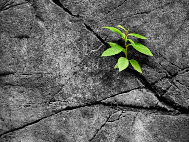 снимка: thinkstock