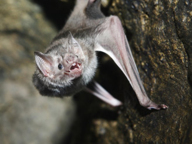 Снимка: Thinkstock