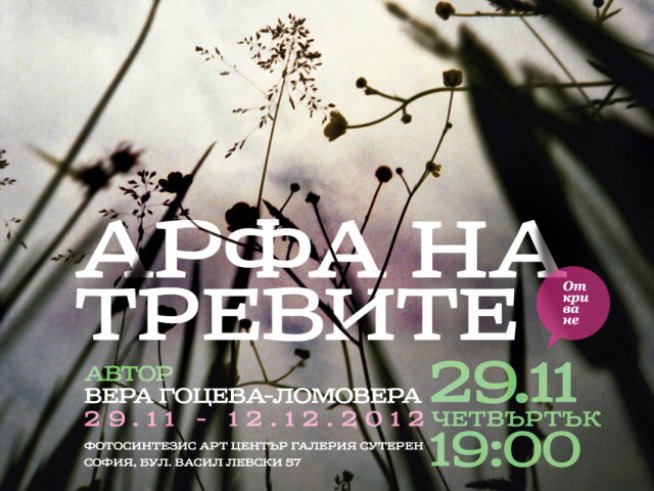 Изложба „Арфа на тревите“ – лентова фотография на канава