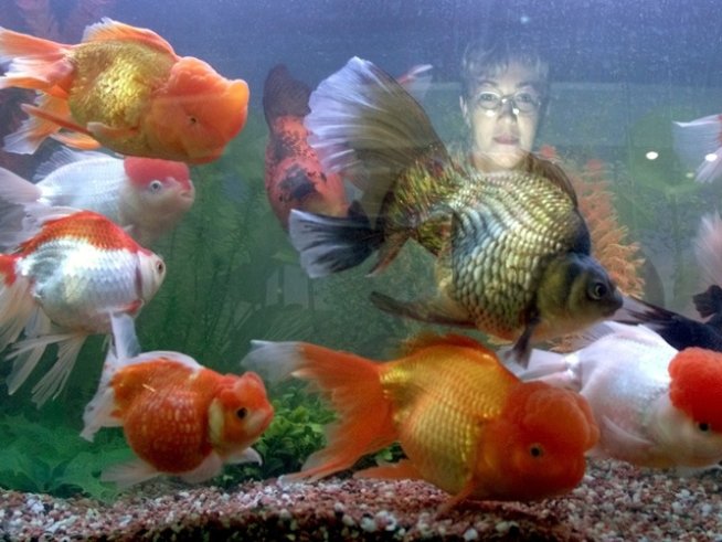 Снимка: Reiters