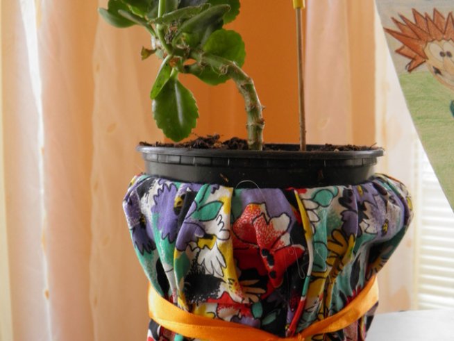 Снимка: Вергиния Генова