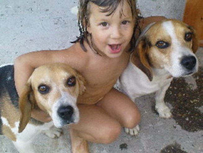 С куче на море