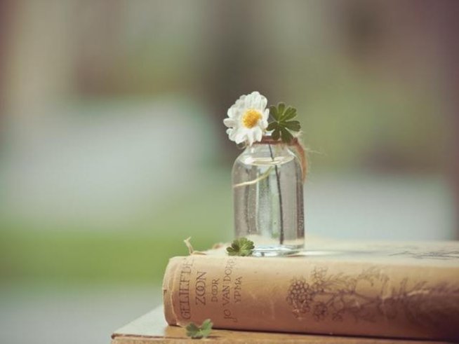 Снимка: pexels