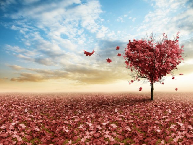 Снимка: thinkstock